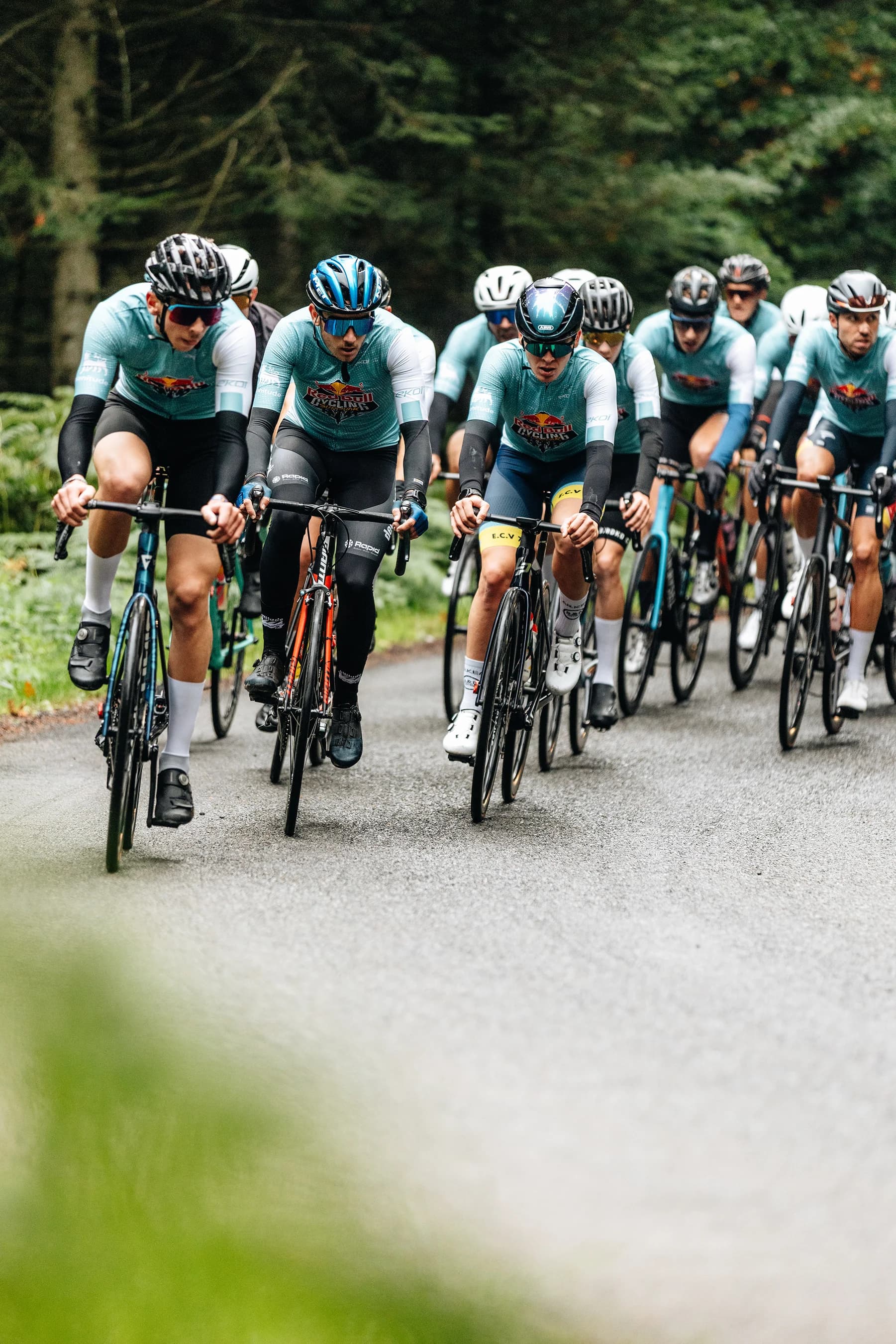 Red Bull Cycling Survivor 2025