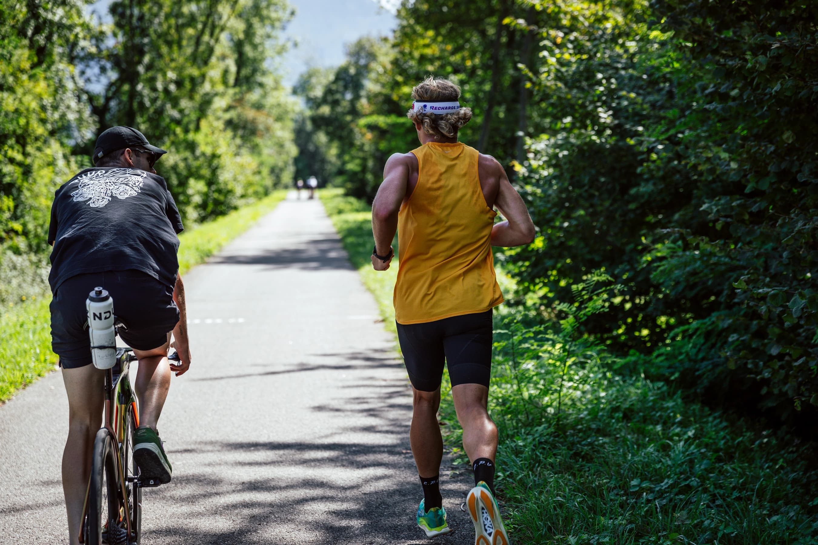 Management de carrière