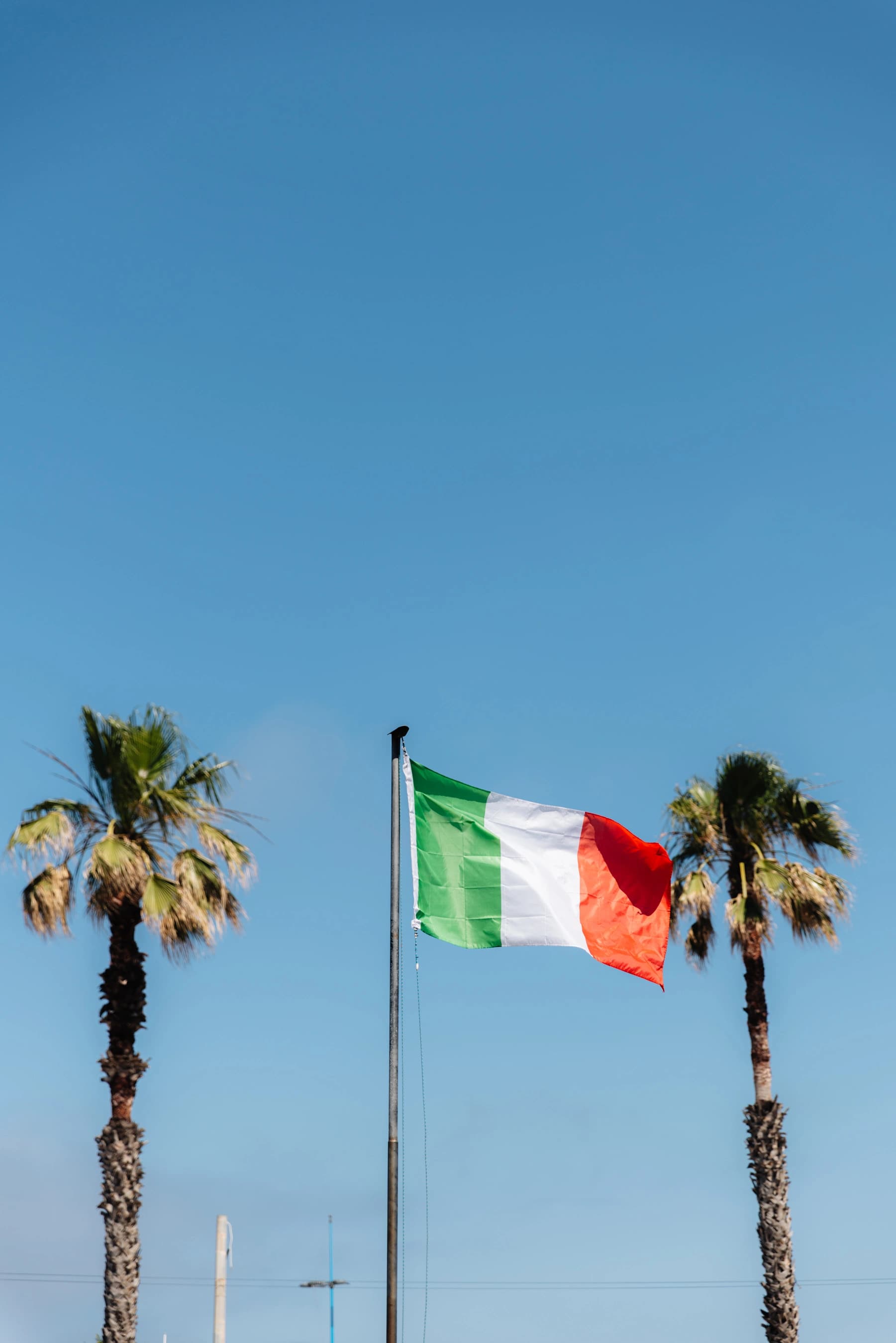 Athlète tricolore concentré avant la compétition